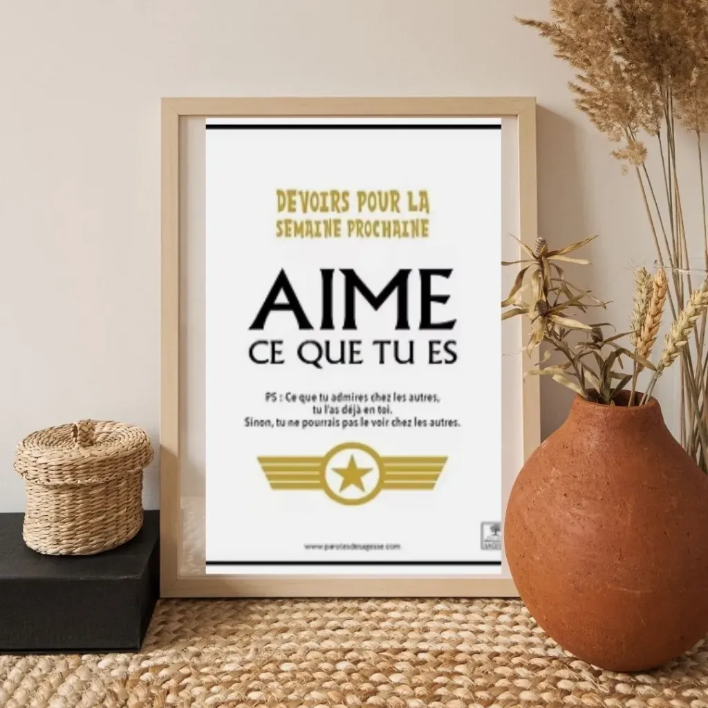 [AR0433] Poster "Aime ce que tu es"
